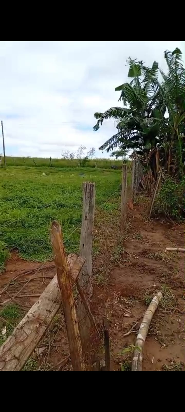 TERRENO NA CIDADE DE TACIBA-SP - VENDA