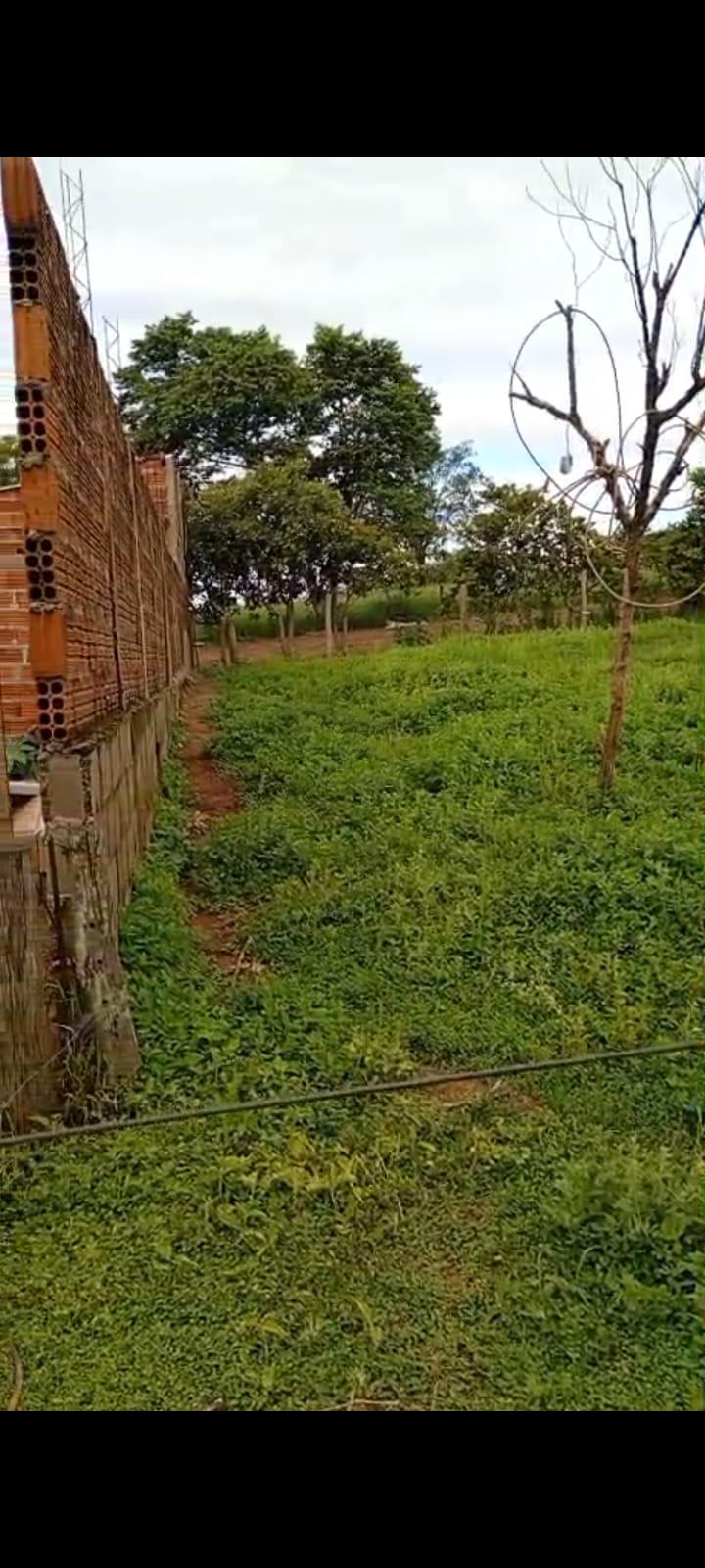 TERRENO NA CIDADE DE TACIBA-SP - VENDA