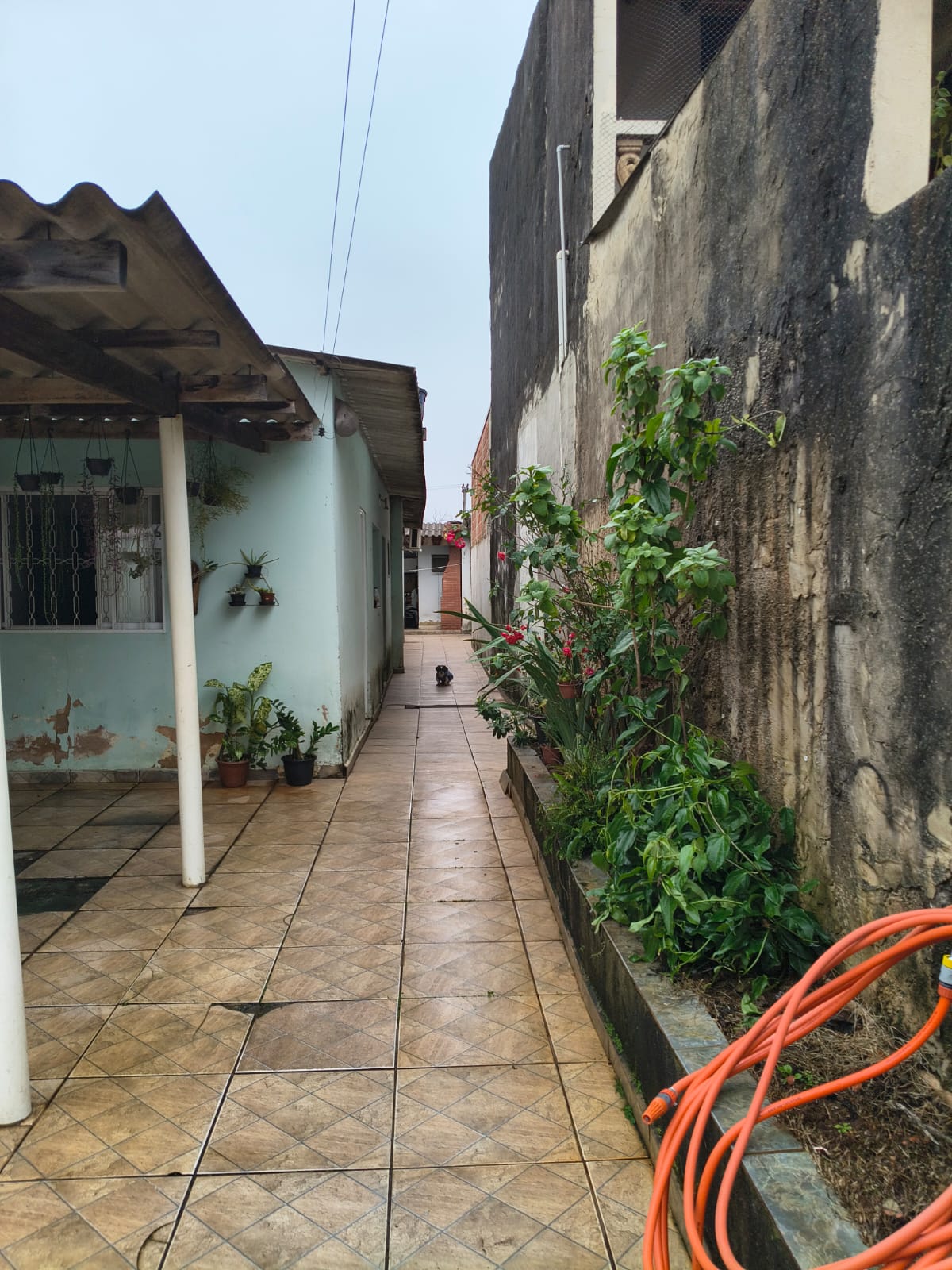 CASA NO JARDIM TATIANA - VENDA 