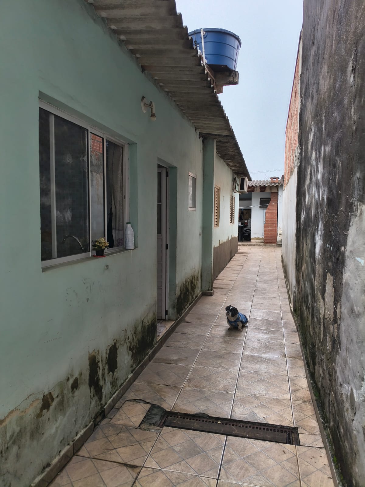CASA NO JARDIM TATIANA - VENDA 