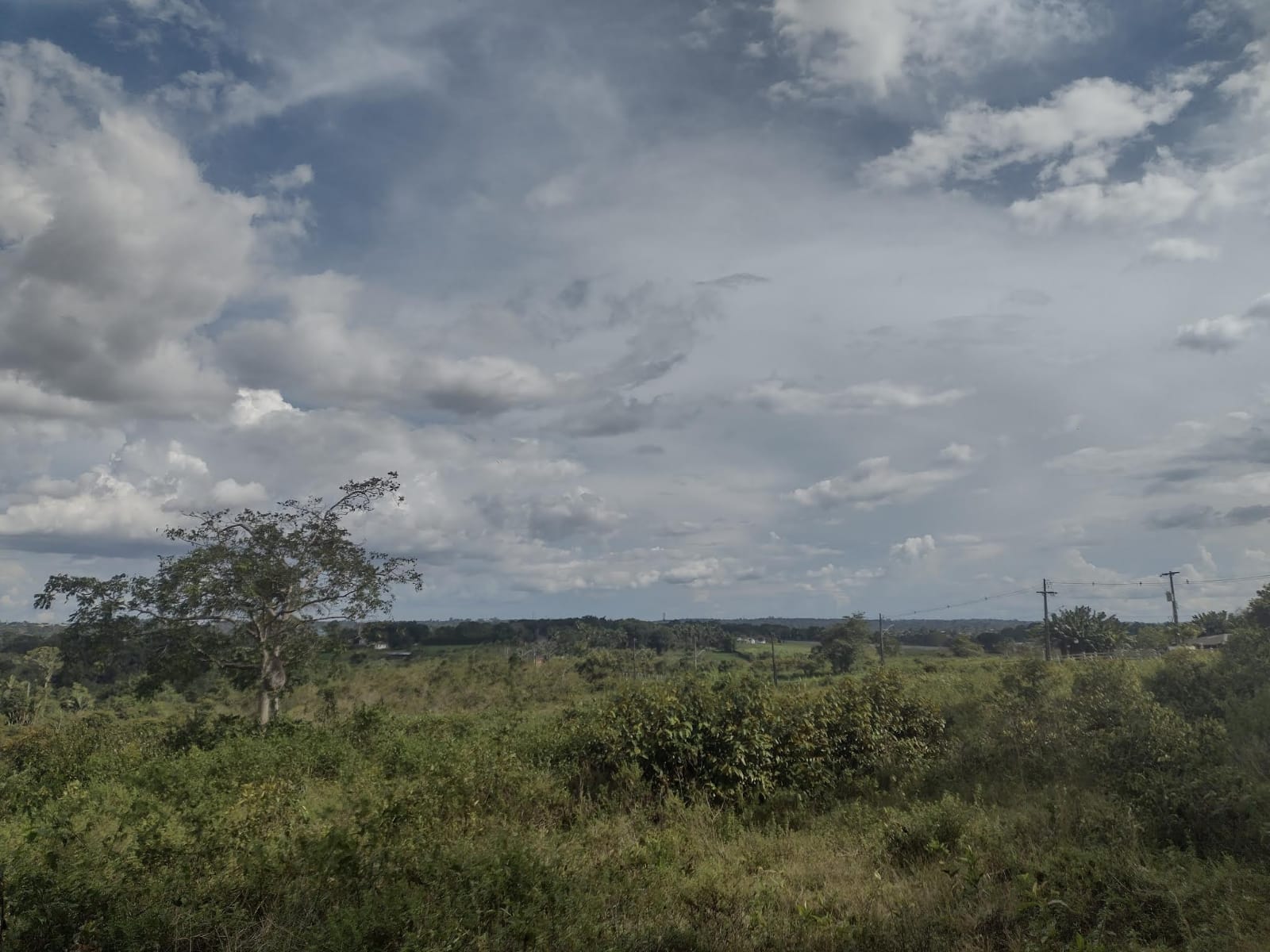 Vendo Terreno (16,1560 HA) Ramal do Baiano - Tarumã, Manaus - AM