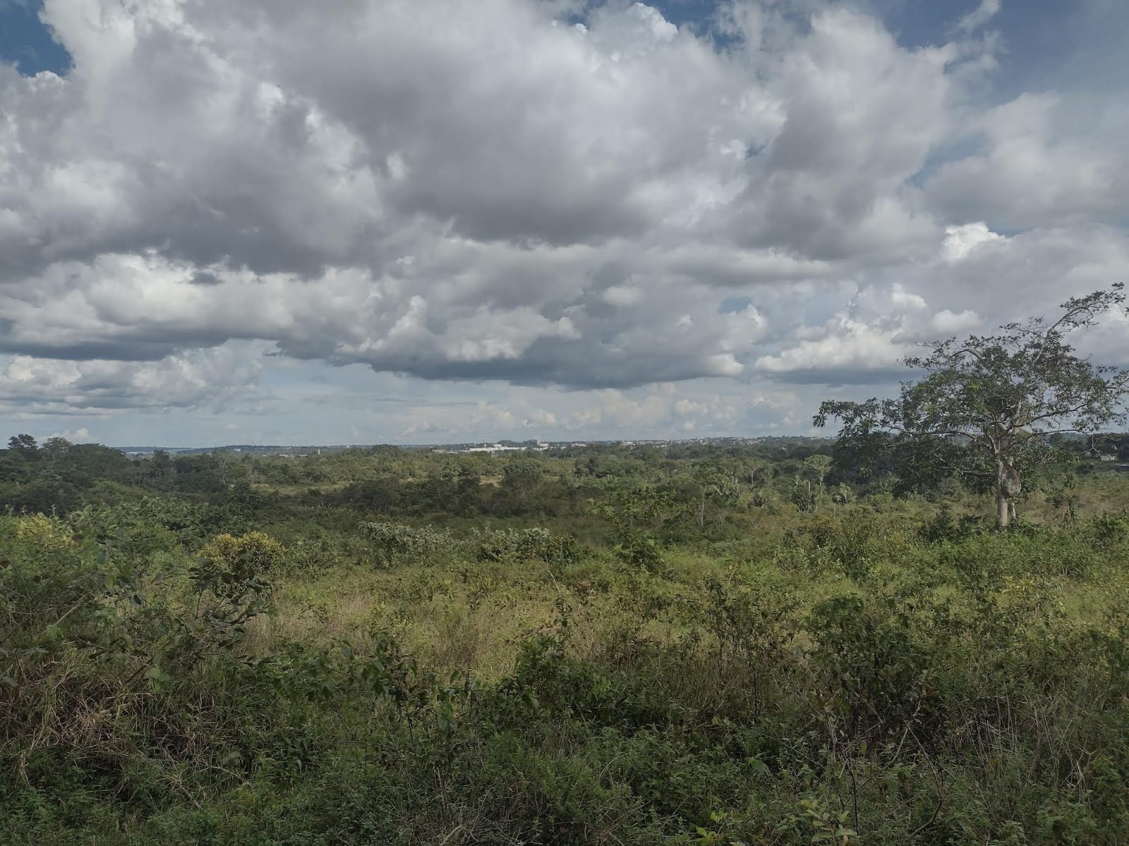 Vendo Terreno (16,1560 HA) Ramal do Baiano - Tarumã, Manaus - AM