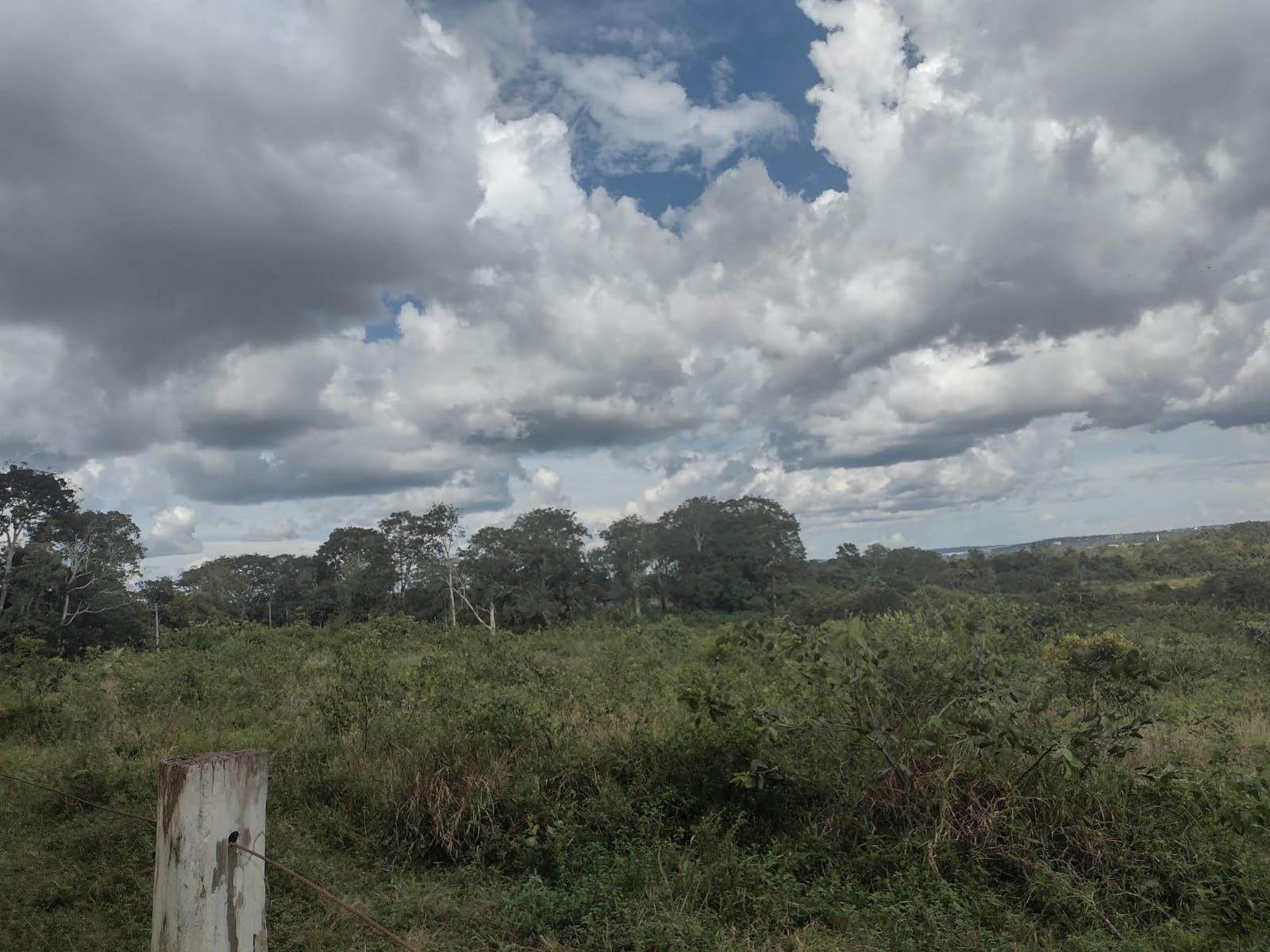 Vendo Terreno (16,1560 HA) Ramal do Baiano - Tarumã, Manaus - AM