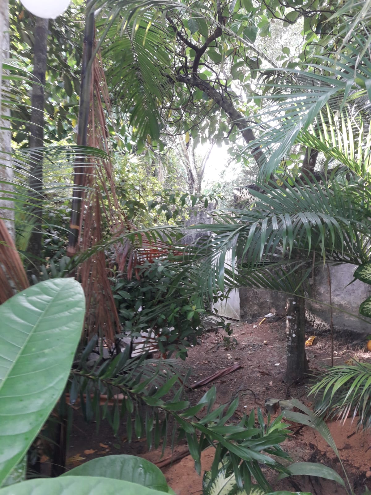 VENDO SÍTIO NO CIDADE NOVA, MANAUS