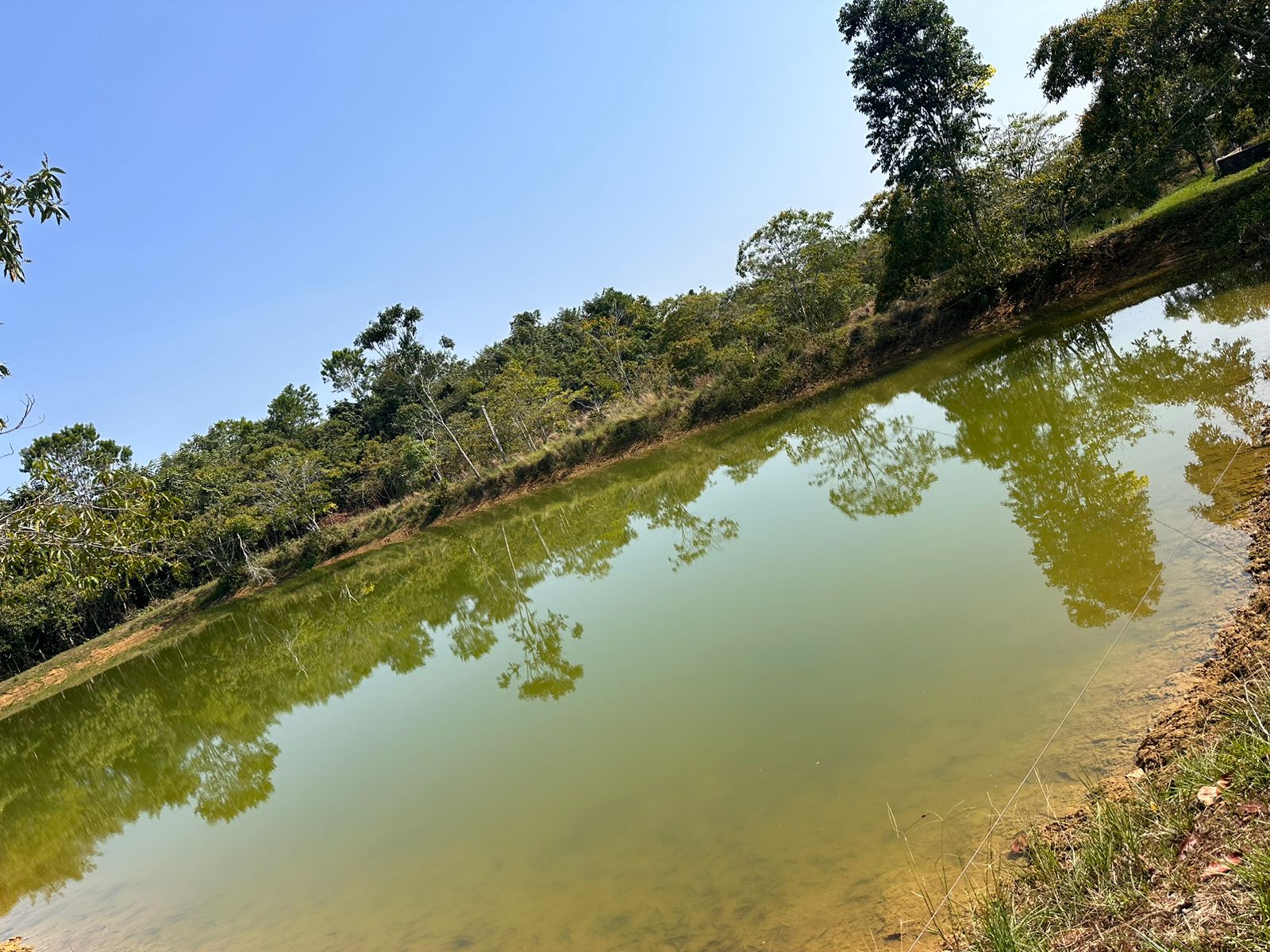VENDO SÍTIO EM MANACAPURÚ