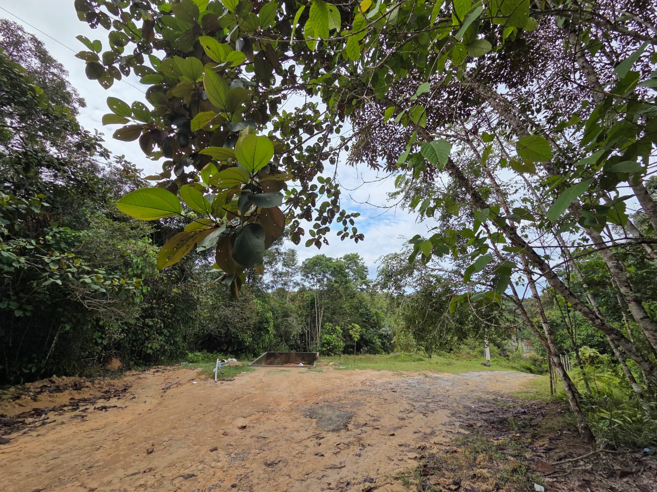 Vendo Terreno na Am 010 - Km 30 - Manaus