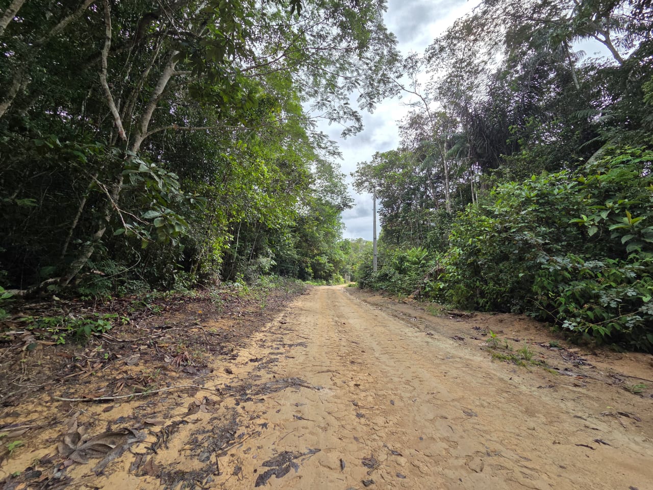 Vendo Terreno na Am 010 - Km 30 - Manaus