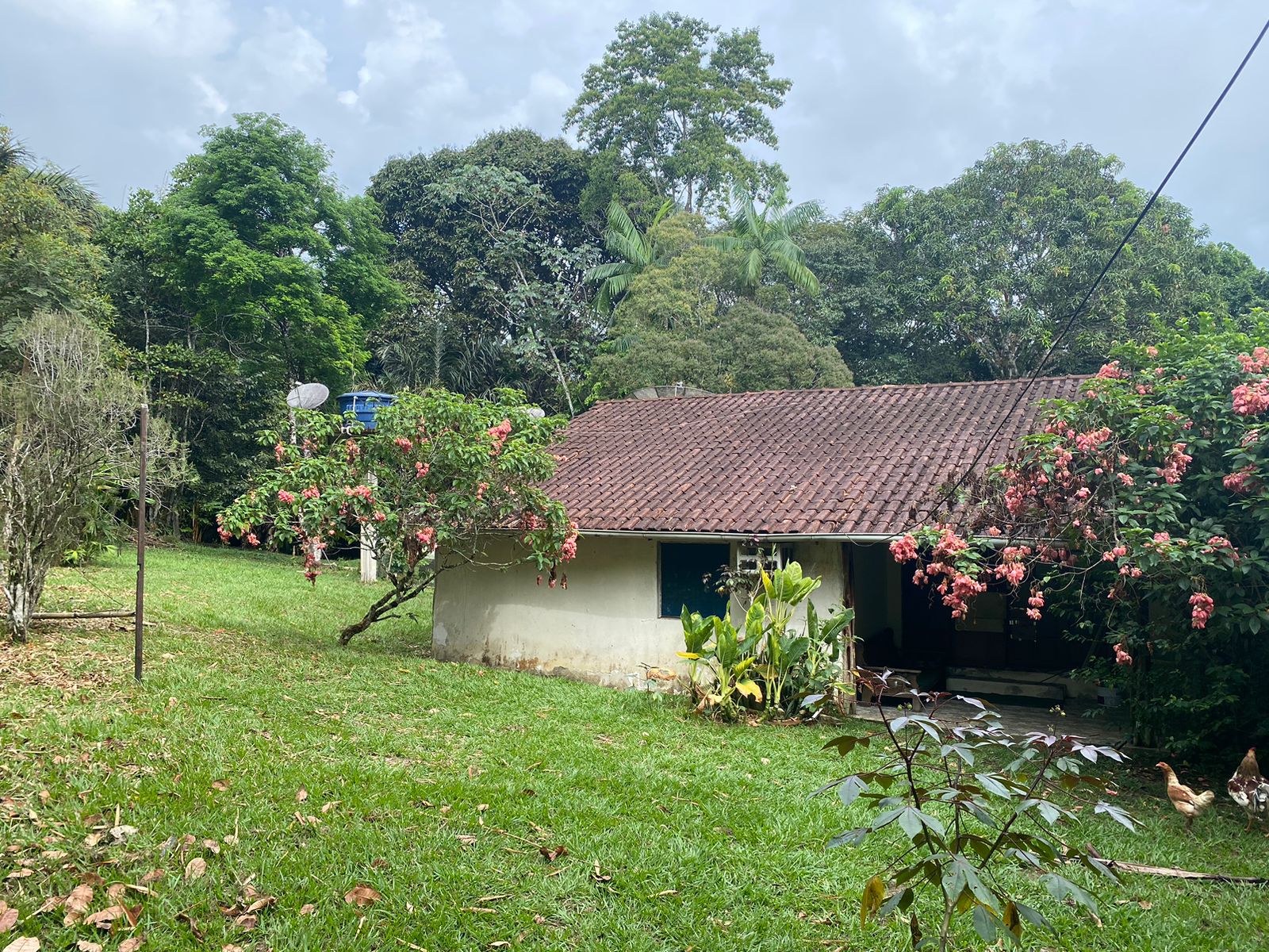 VENDO TERRENO NA AV. DO CETUR, TARUMÃ