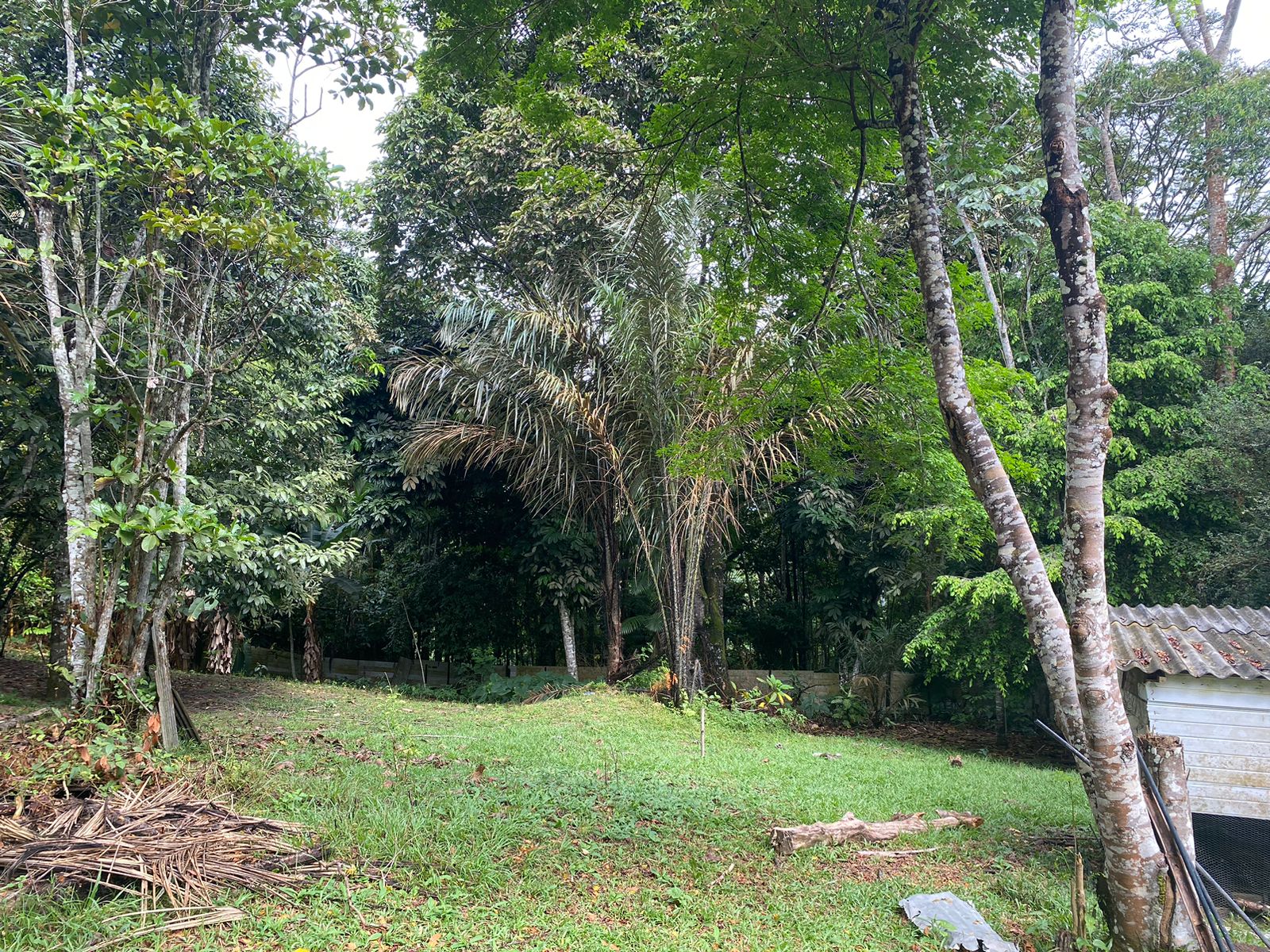 VENDO TERRENO NA AV. DO CETUR, TARUMÃ