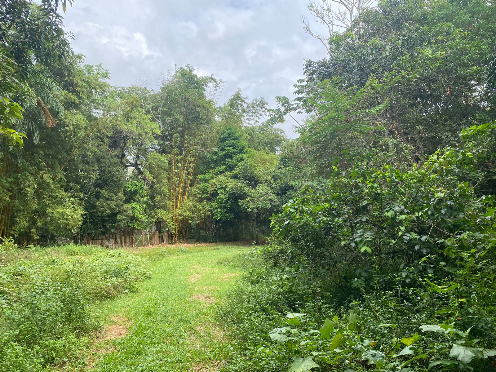 VENDO TERRENO NA AV. DO CETUR, TARUMÃ