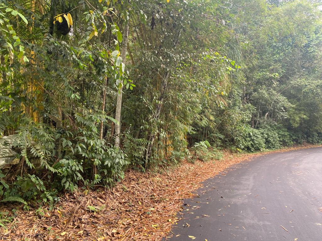 VENDO TERRENO NA AV. DO CETUR, TARUMÃ