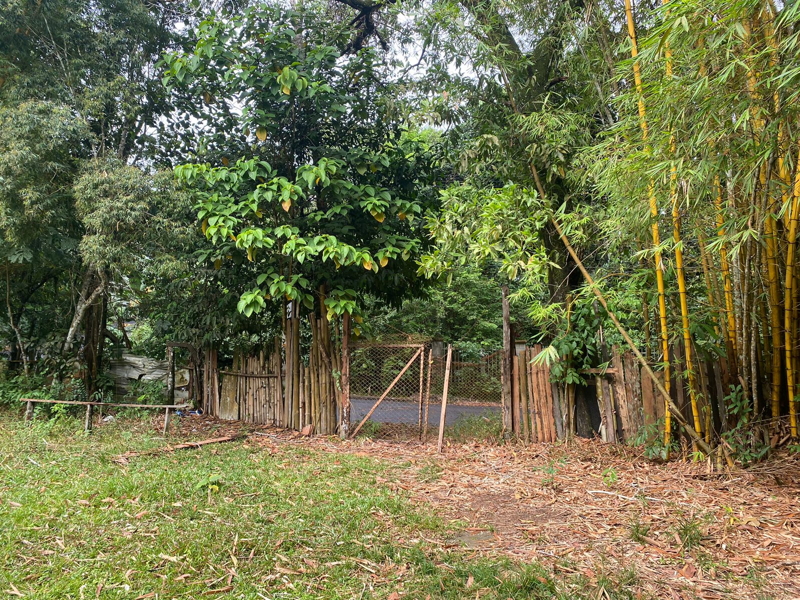 VENDO TERRENO NA AV. DO CETUR, TARUMÃ