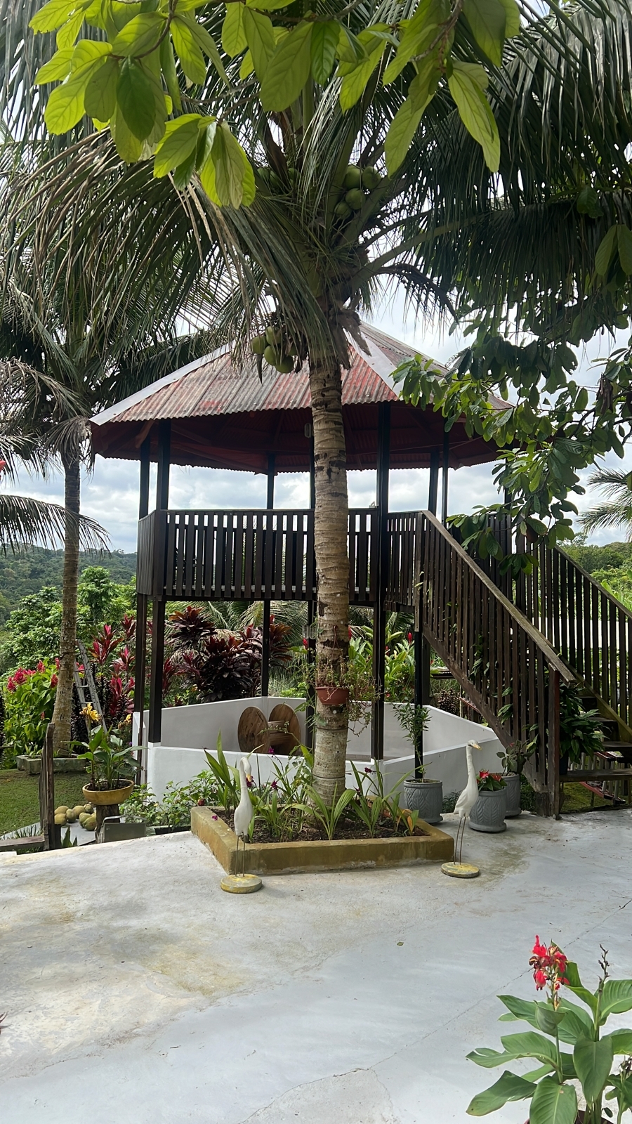 VENDO SÍTIO KM-37 AM-010, RODOVIA MANAUS/RIO PRETO DA EVA