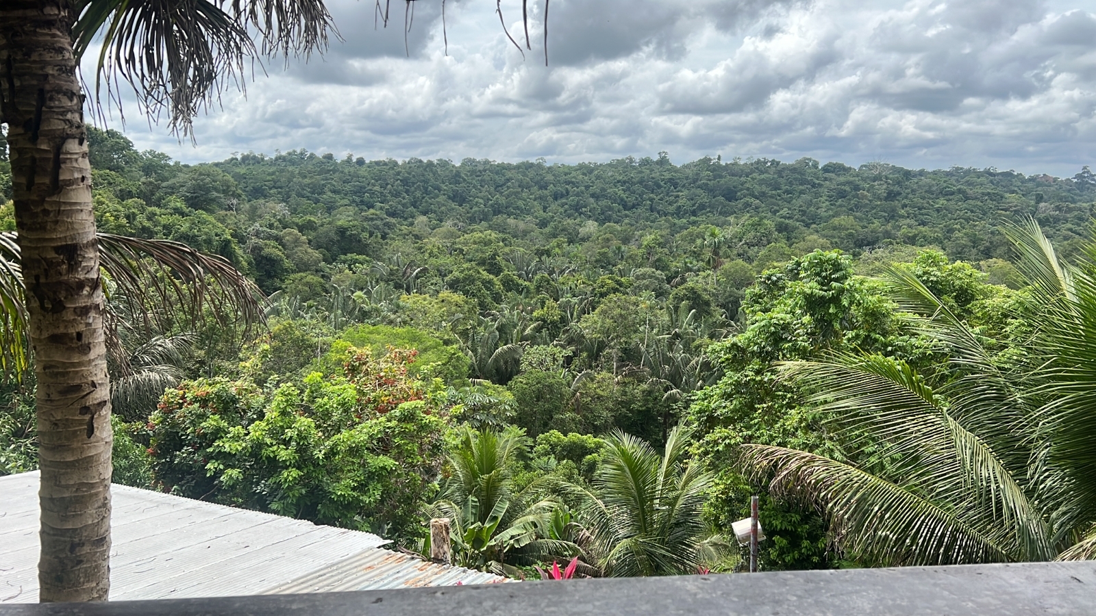 VENDO SÍTIO KM-37 AM-010, RODOVIA MANAUS/RIO PRETO DA EVA