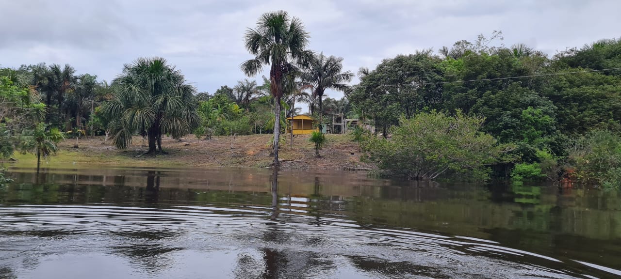 VENDO TERRENO (56,7554 HA) TARUMÃ AÇÚ, MANAUS AM