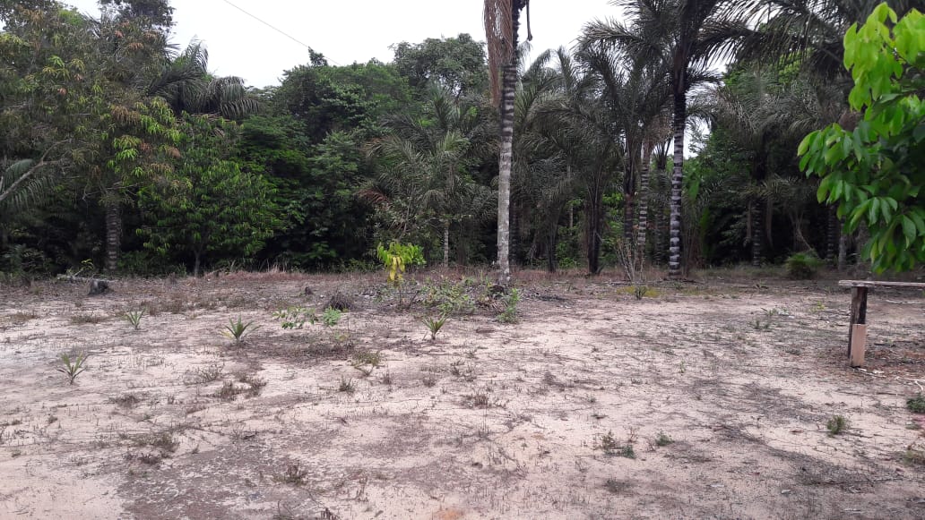 VENDO TERRENO (56,7554 HA) TARUMÃ AÇÚ, MANAUS AM