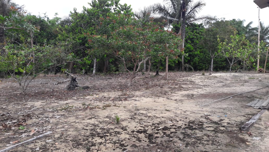 VENDO TERRENO (56,7554 HA) TARUMÃ AÇÚ, MANAUS AM