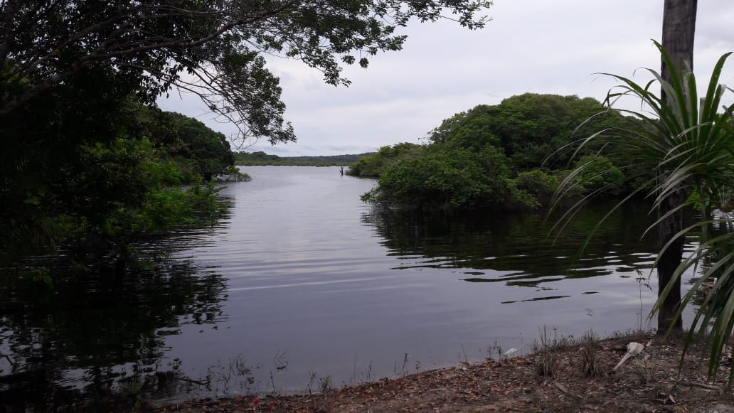 VENDO TERRENO (56,7554 HA) TARUMÃ AÇÚ, MANAUS AM