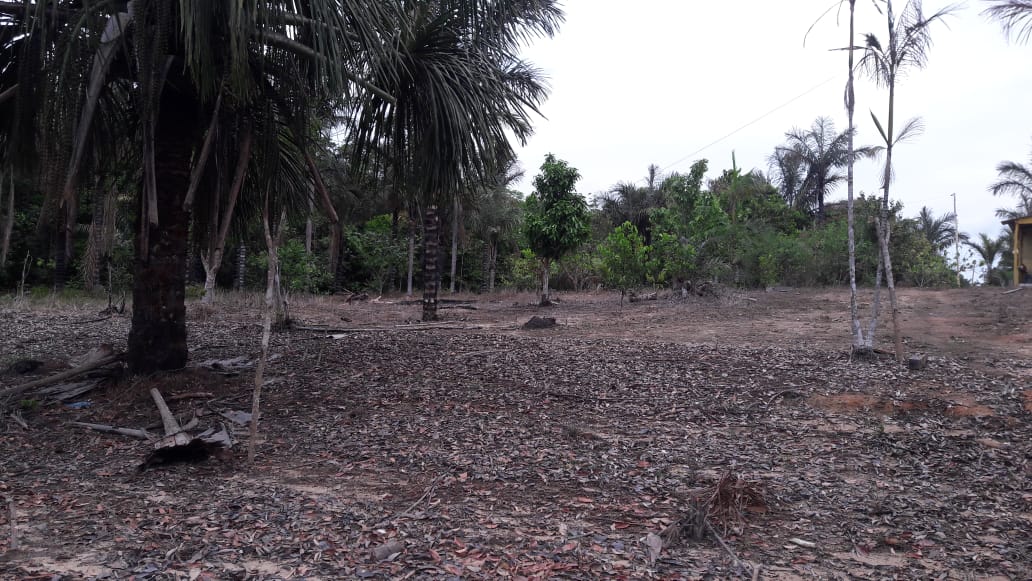 VENDO TERRENO (56,7554 HA) TARUMÃ AÇÚ, MANAUS AM
