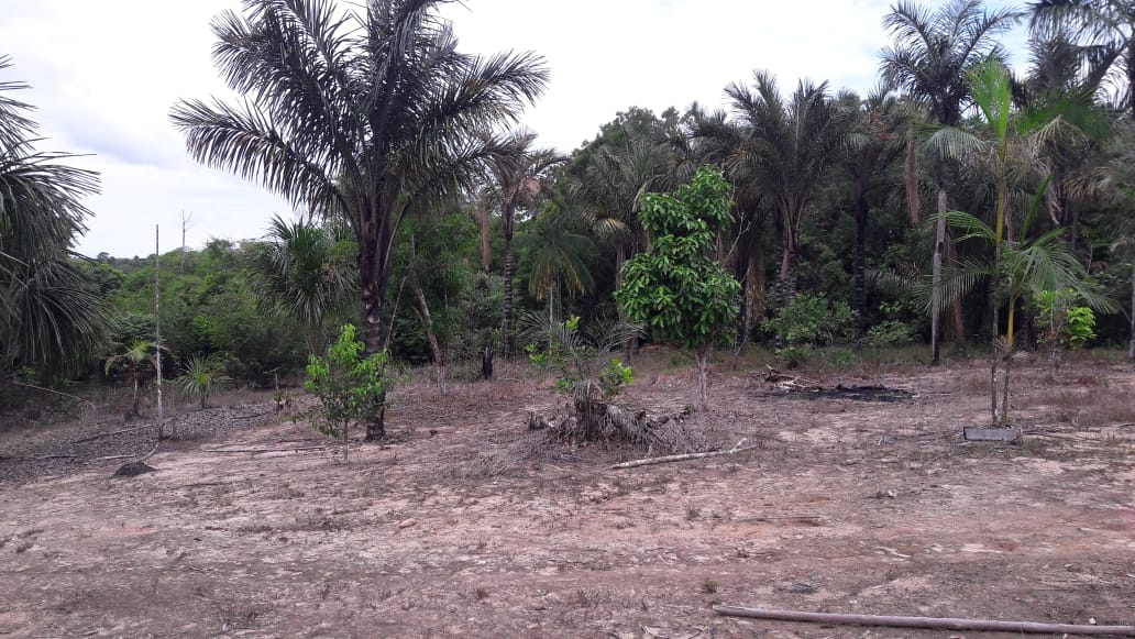 VENDO TERRENO (56,7554 HA) TARUMÃ AÇÚ, MANAUS AM