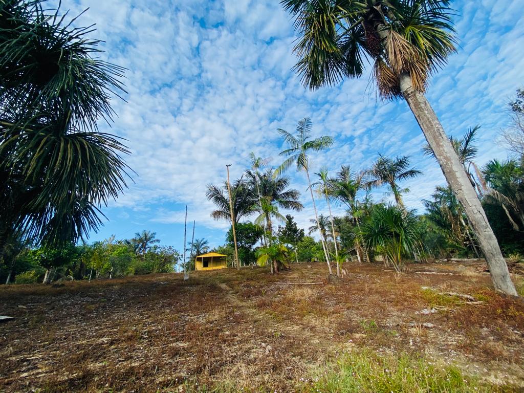 VENDO TERRENO (56,7554 HA) TARUMÃ AÇÚ, MANAUS AM