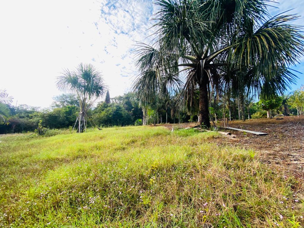 VENDO TERRENO (56,7554 HA) TARUMÃ AÇÚ, MANAUS AM