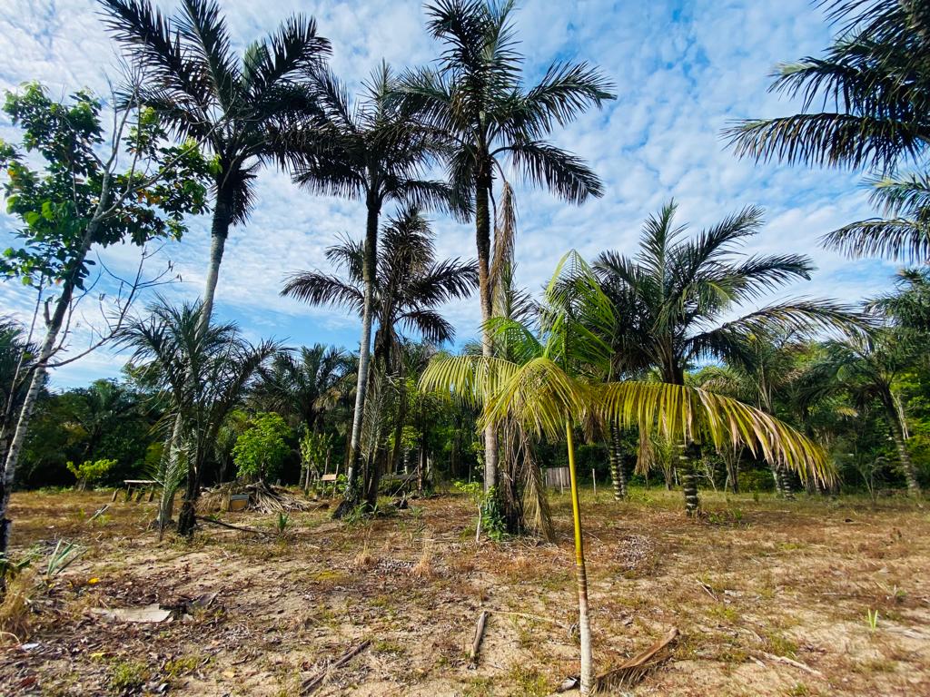 VENDO TERRENO (56,7554 HA) TARUMÃ AÇÚ, MANAUS AM