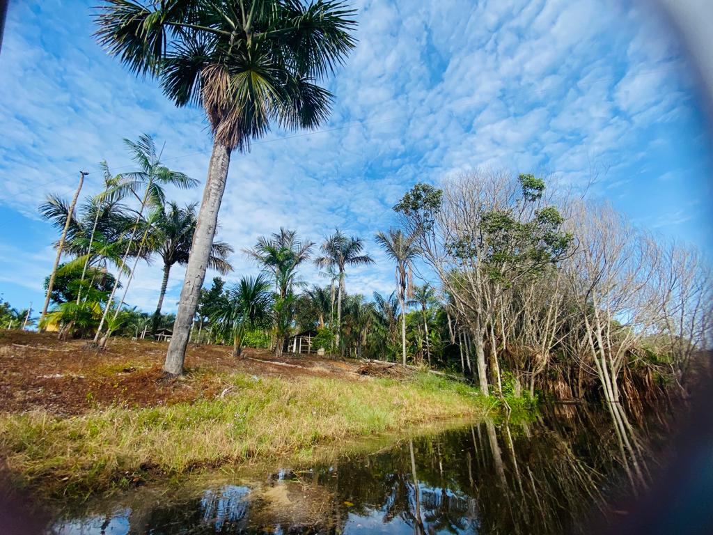 VENDO TERRENO (56,7554 HA) TARUMÃ AÇÚ, MANAUS AM