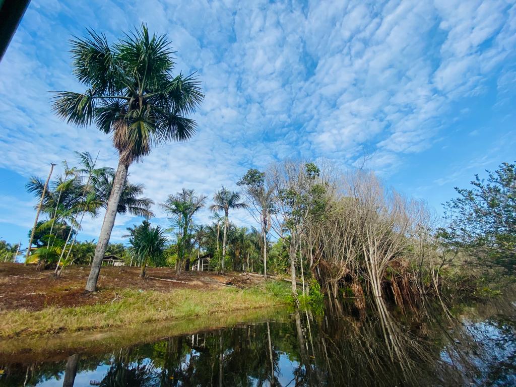 VENDO TERRENO (56,7554 HA) TARUMÃ AÇÚ, MANAUS AM