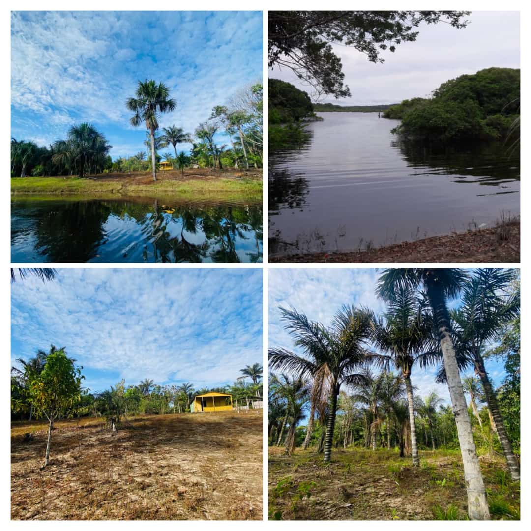 Terreno - Venda, Tarumã-Açu, Manaus, AM
