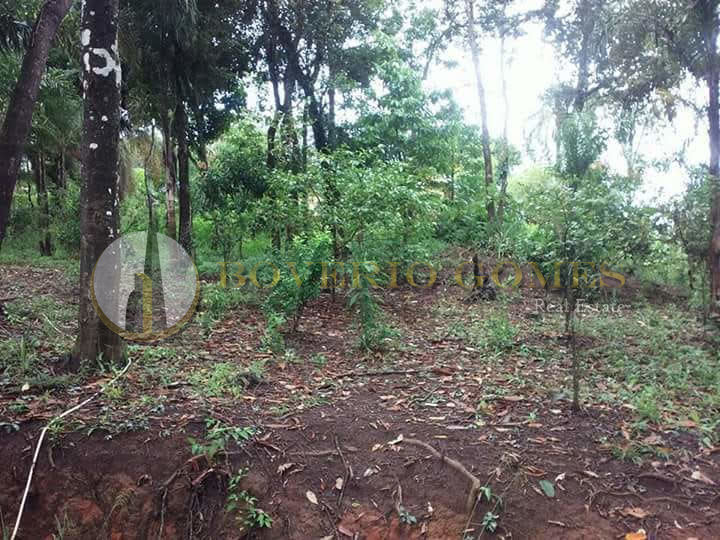 Lote - Venda