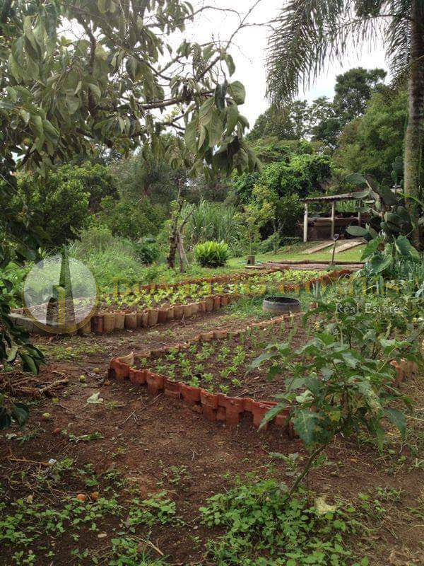 Lote - Venda