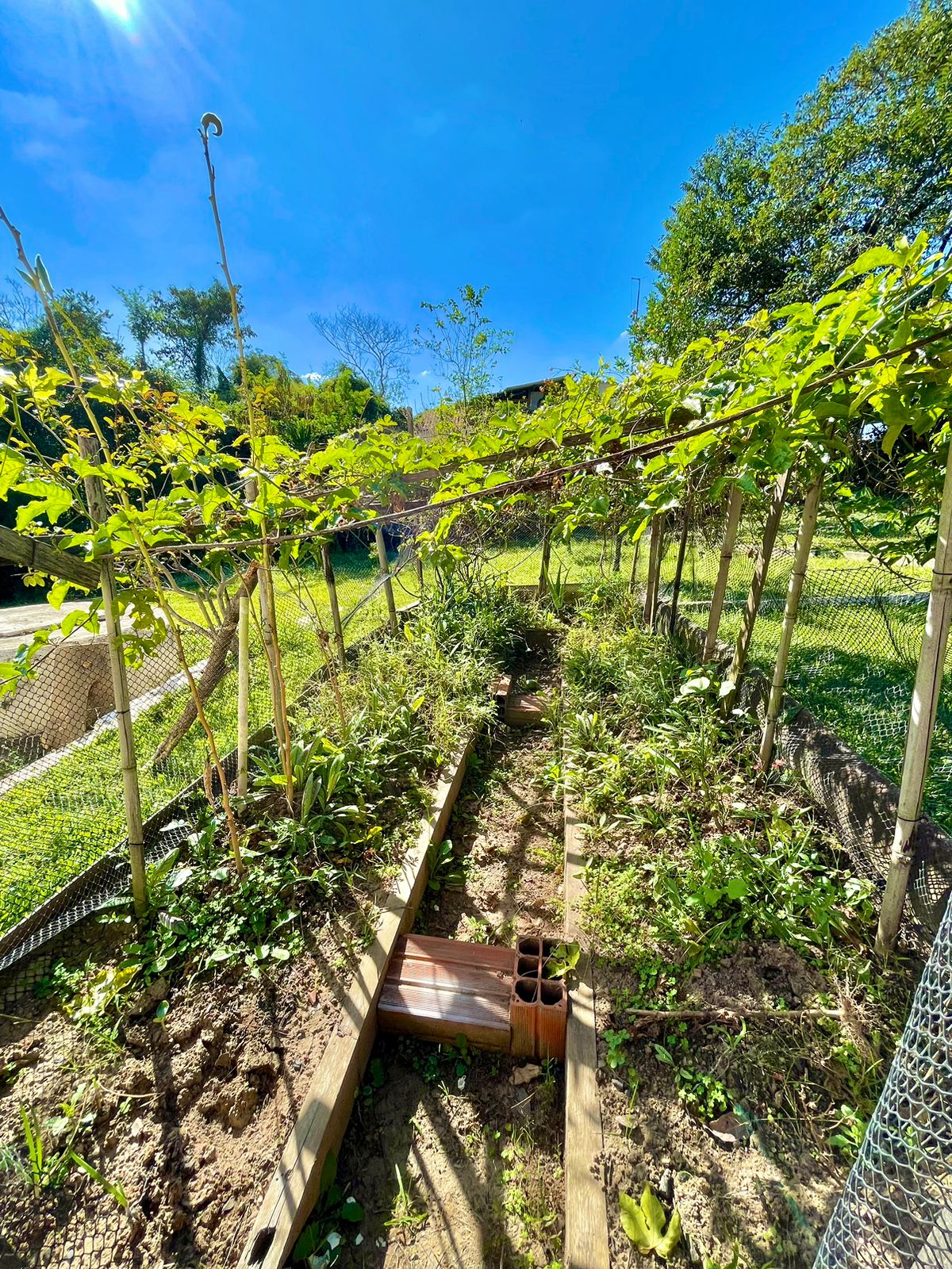 Chácara á venda c/ 03 dormitórios, Bairro dos Correias - Boituva/SP