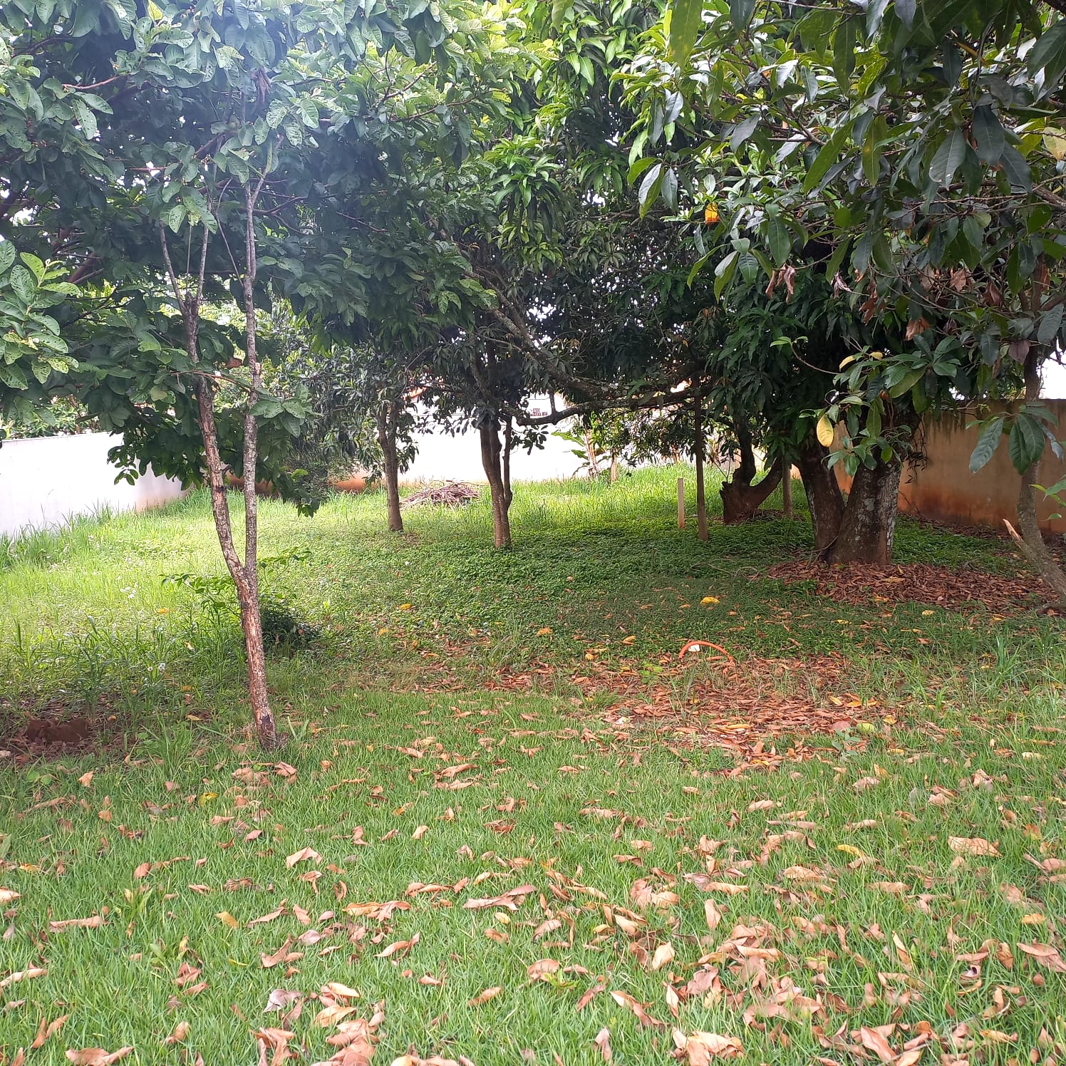 Chácara com 3 dormitórios à venda, 208m² por R$ 1.380.000 - Condomínio Vitassay - Boituva/SP