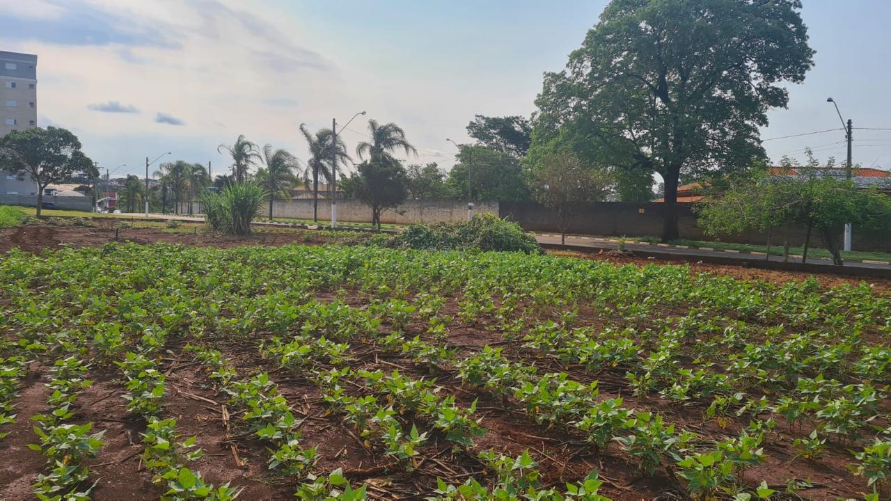 Terreno à Venda c/ 678m²  Recanto das Primaveras, em Boituva