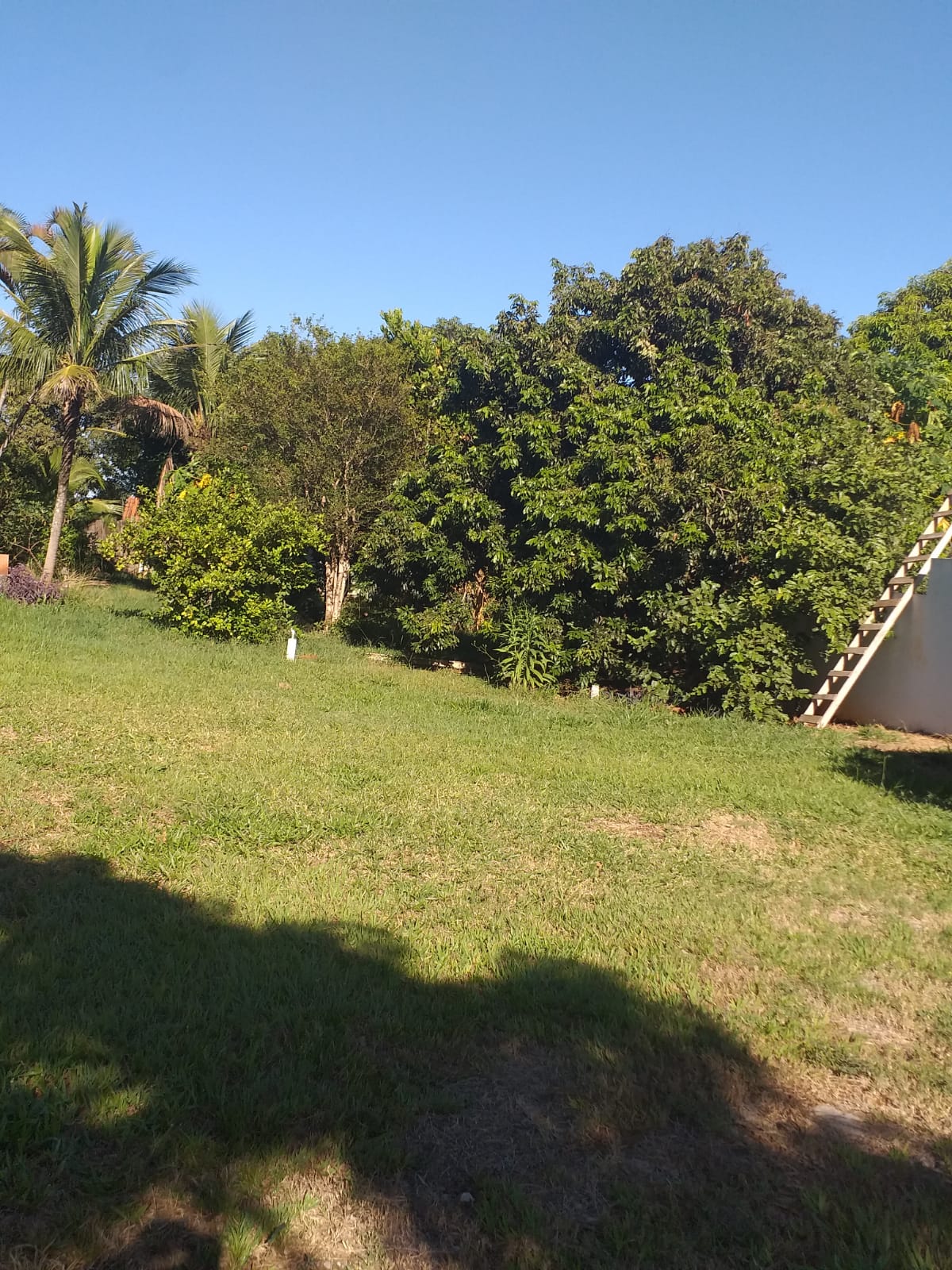Terreno à Venda no Condomínio Residencial Vitassay