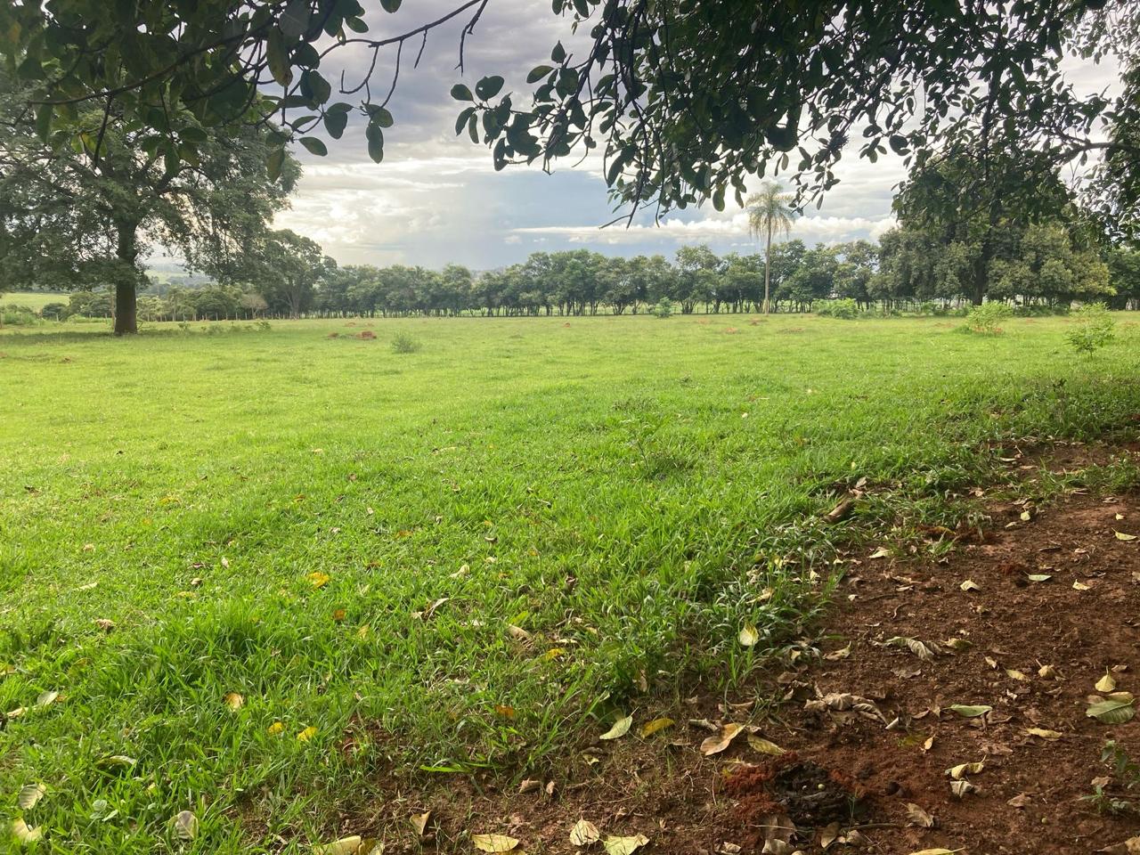 Terreno à venda, 18.000m² por R$ 680.000 - Bairro do Retiro, Boituva/SP