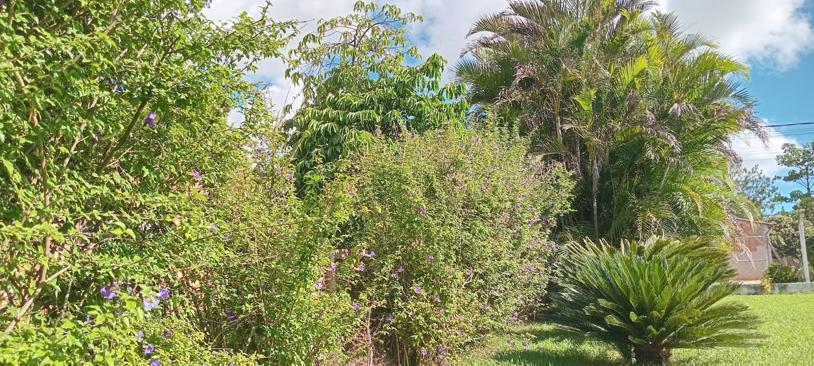 Casa com 3 dormitórios à venda, 190m² por R$ 530.000 - Jerivá - Boituva/SP