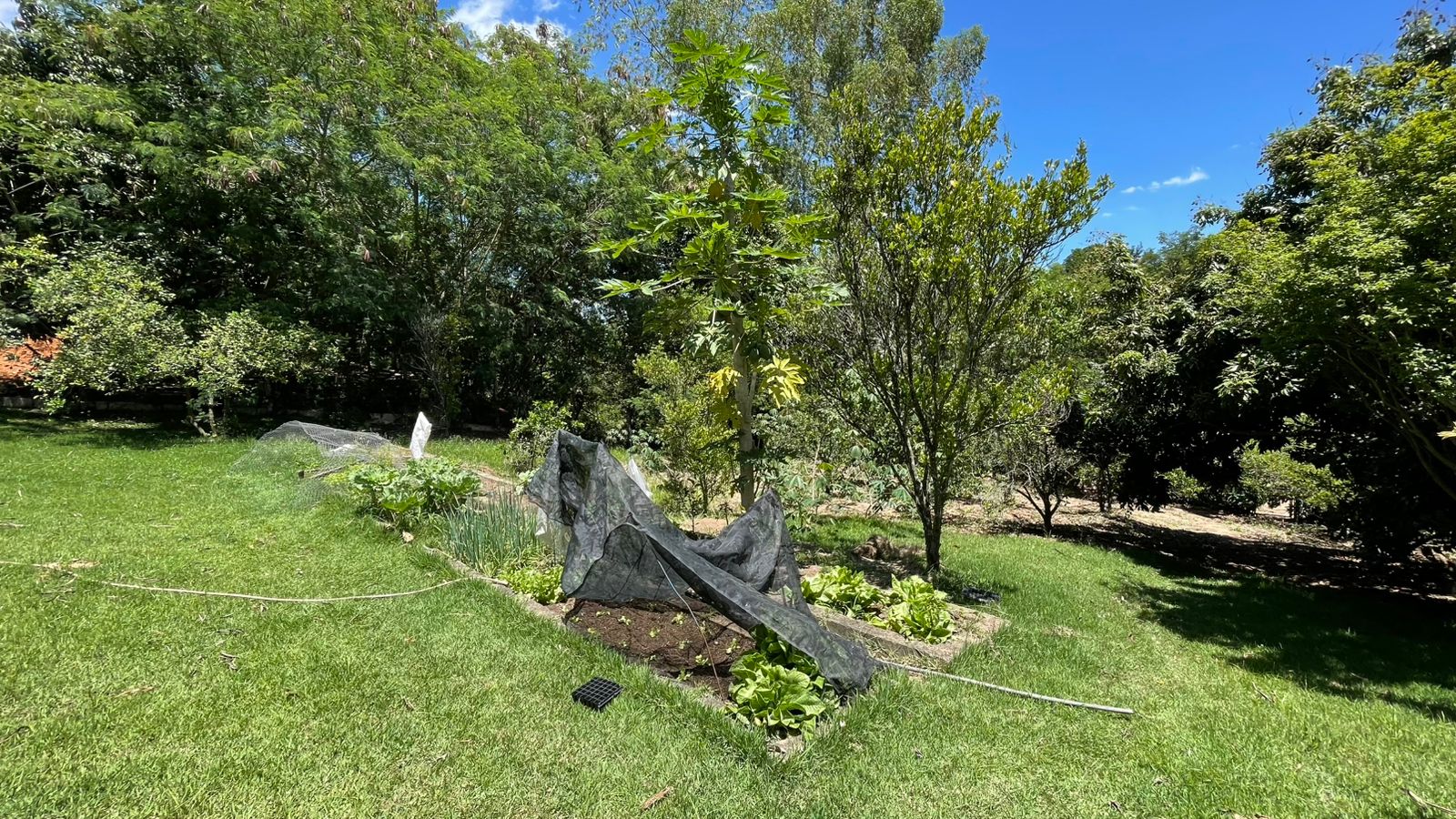 Chácara com 3 dormitórios à venda, 350m² por R$ 1.850.000 - Condomínio Vitassay - Boituva/SP