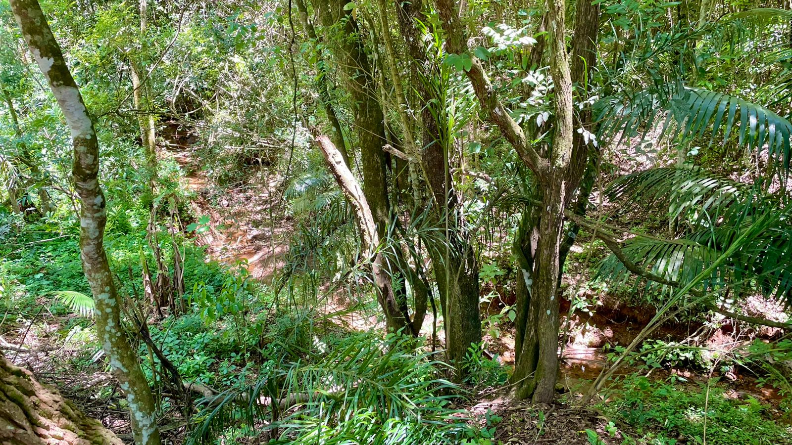 Chácara com 3 dormitórios à venda, 350m² por R$ 1.850.000 - Condomínio Vitassay - Boituva/SP