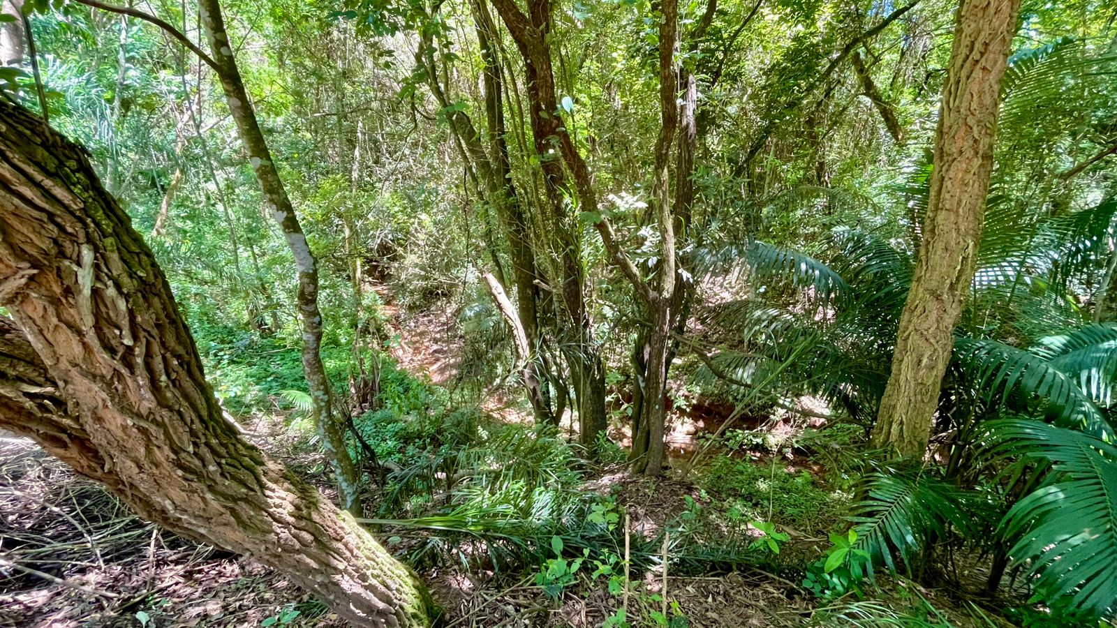 Chácara com 3 dormitórios à venda, 350m² por R$ 1.850.000 - Condomínio Vitassay - Boituva/SP