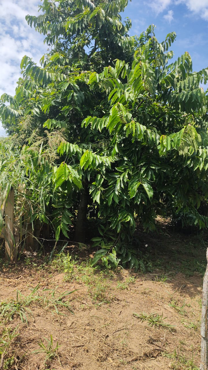 Chácara a venda com 03 dormitórios, Bairro Água Branca - Boituva/Sp