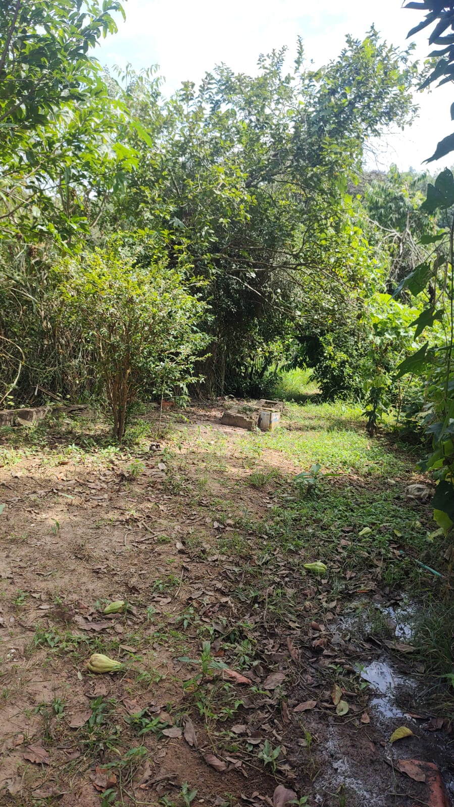 Chácara a venda com 03 dormitórios, Bairro Água Branca - Boituva/Sp