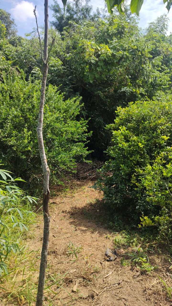 Chácara a venda com 03 dormitórios, Bairro Água Branca - Boituva/Sp
