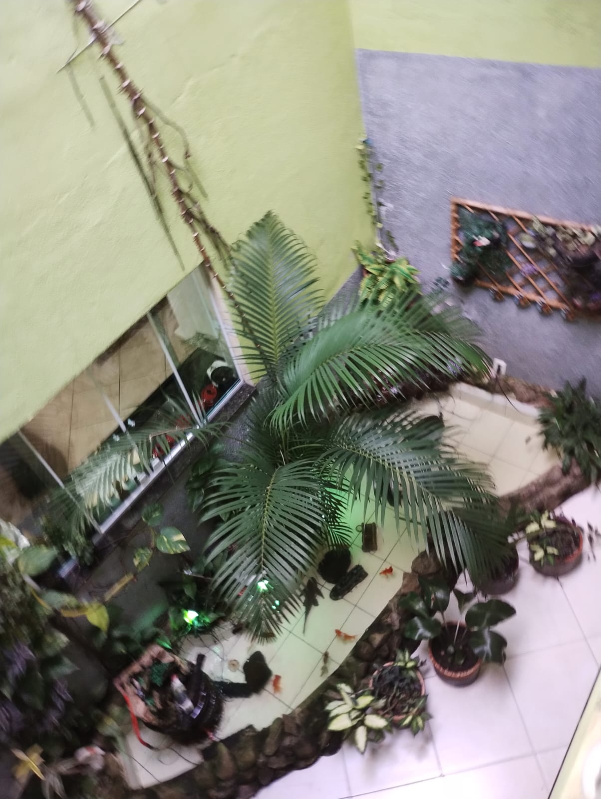SOBRADO  ESPACULAR