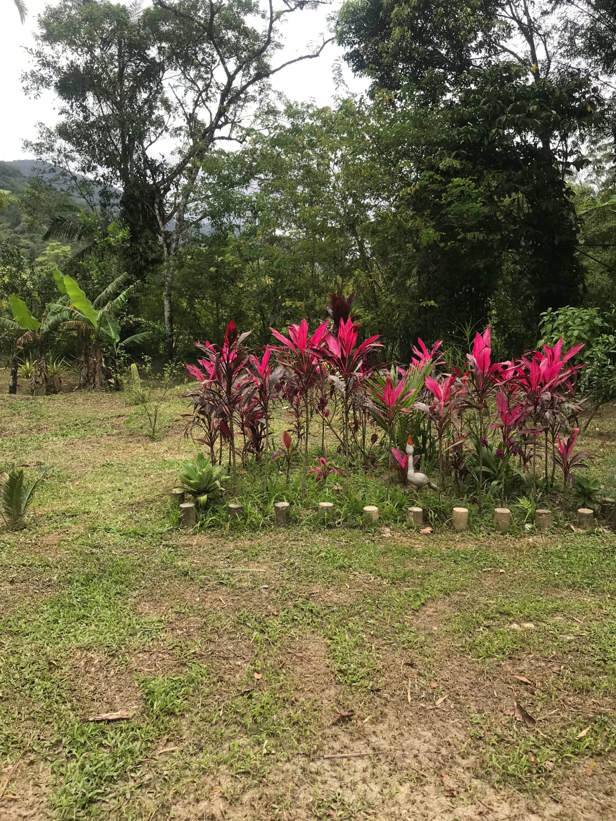 SITIO  ITANHAÉM SP 