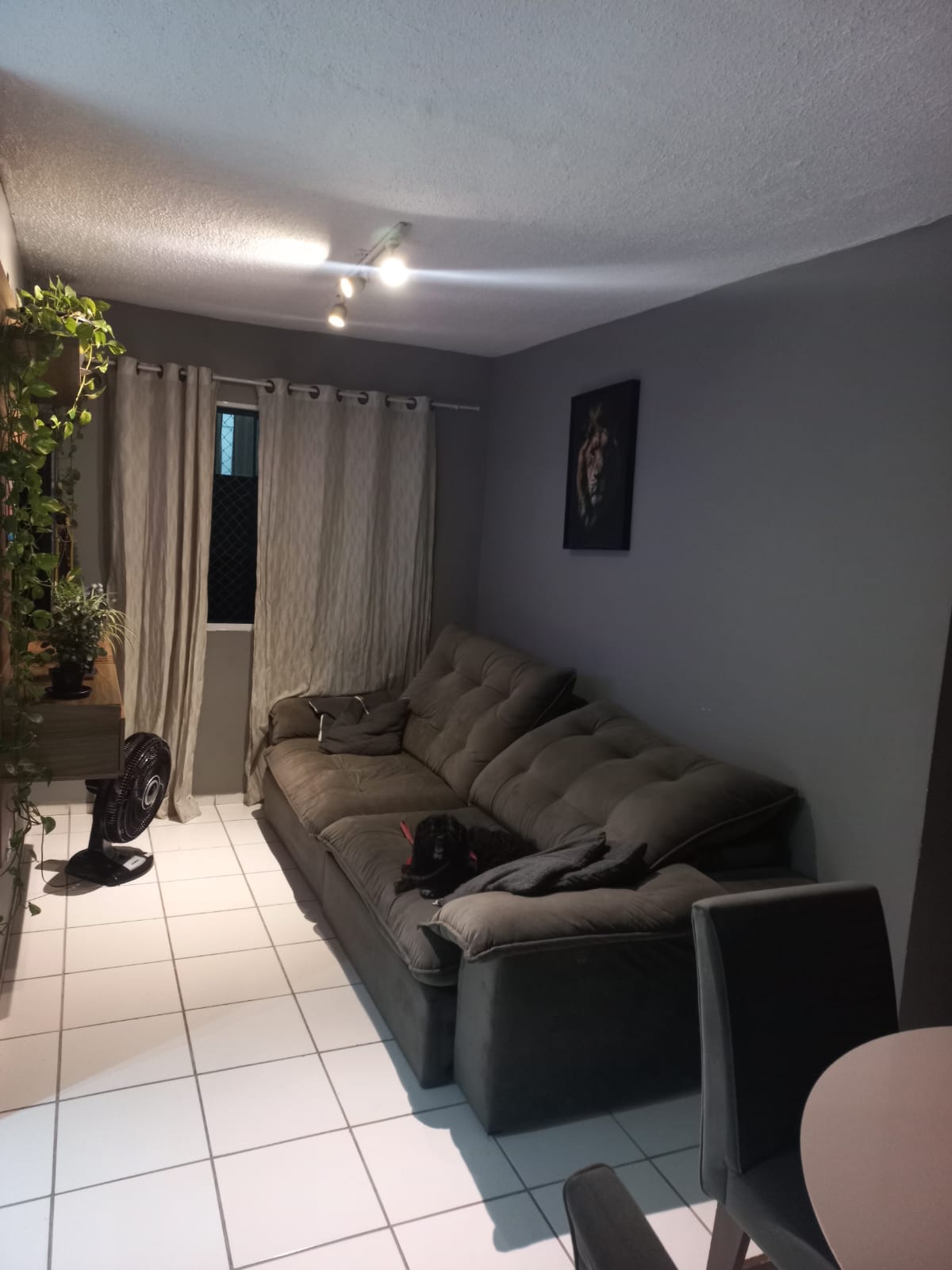 condominio Safira