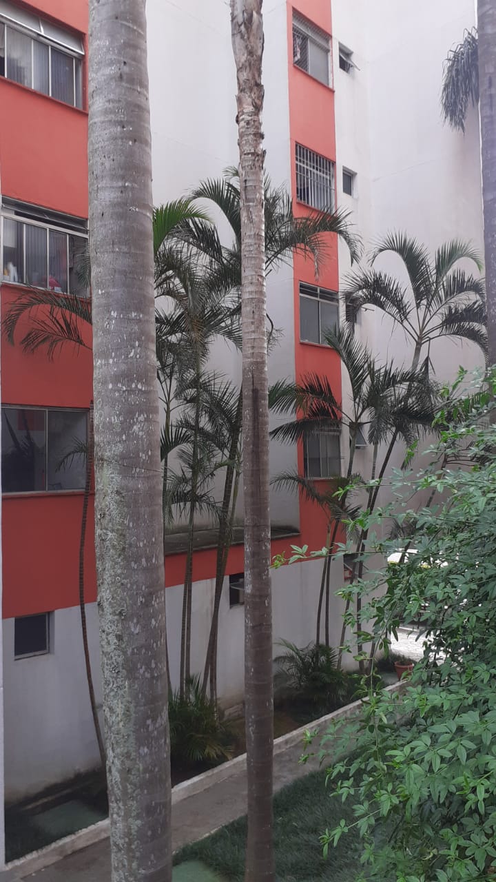 apartamento santa Terezinha 