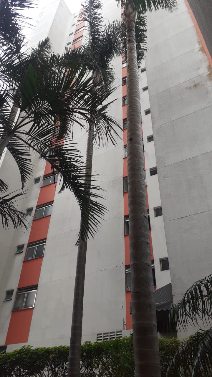 apartamento santa Terezinha 