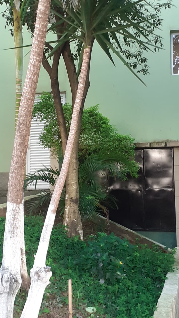 APARTAMENTO RESIDENCIAL GUAIANAZES